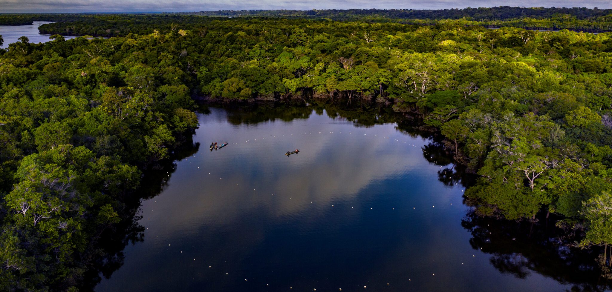 Projeto Gosto da Amazônia leva chefs de cozinha do Rio de Janeiro até a Terra Indígena Paumari, no sul do Amazonas, para conhecer o manejo do pirarucu e seus impactos econômicos, sociais e ambientais na região. Os chefs criarão pratos com o pirarucu, o maior peixe de escamas de água doce do mundo, para contribuir com a introdução do produto no mercado do Rio de Janeiro.
Na foto, imagem de drone de indígenas Paumari usando malhadeiras para pescar o pirarucu, num lago do rio Tapauá, dentro da terra indígena
Foto Marizilda Cruppe/Divulgação