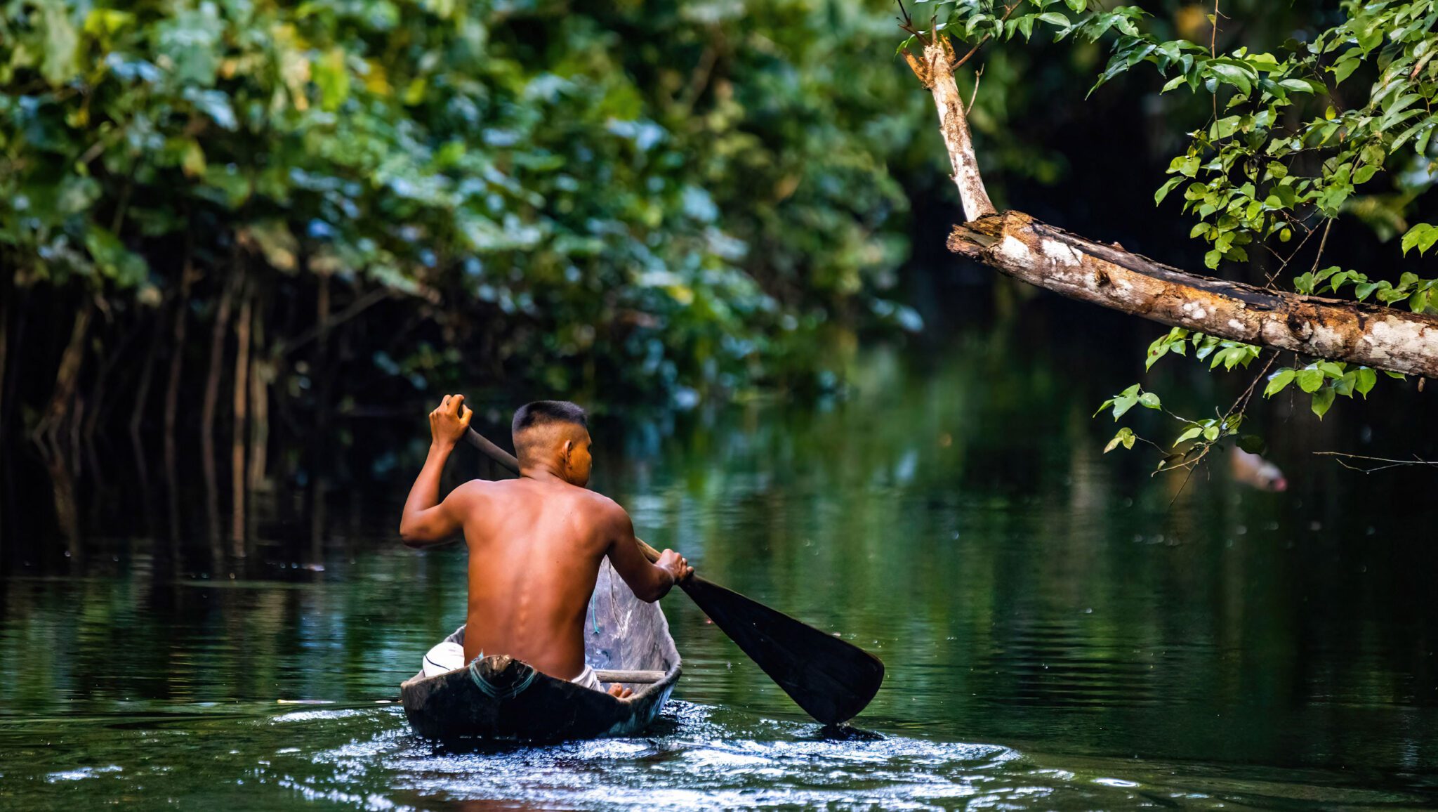 Amazon-Indigenous-Canoe-Man-web